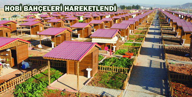 HOBİ BAHÇELERİ HAREKETLENDİ