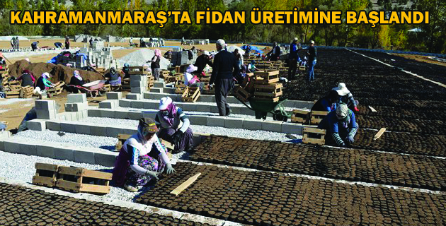 KAHRAMANMARAŞ’TA FİDAN ÜRETİMİNE BAŞLANDI