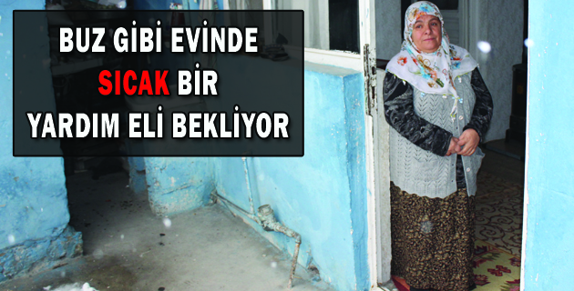 BUZ GİBİ EVİNDE SICAK BİR YARDIM ELİ BEKLİYOR