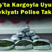 Kargoyla Uyuşturucu Sevkiyatı Polise Takıldı
