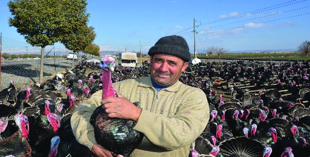 Yılbaşı hindisi Kahramanmaraş’tan