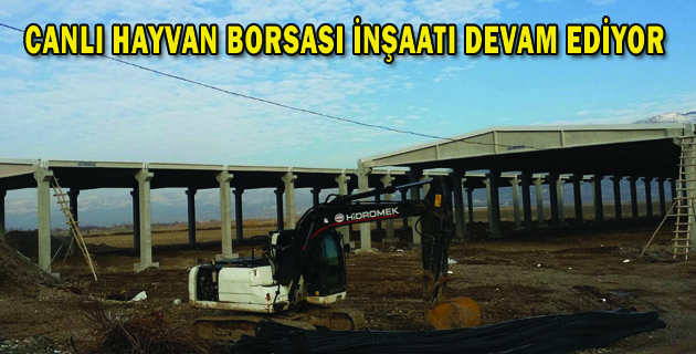 CANLI HAYVAN BORSASI İNŞAATI DEVAM EDİYOR
