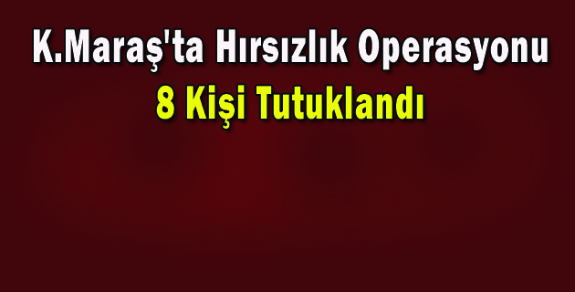 Kahramanmaraş’ta, Hırsızlık Operasyonunda 8 Tutuklama