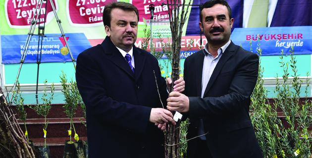 BÜYÜKŞEHİR’DEN ÇİFTÇİLERE 160 BİN FİDAN