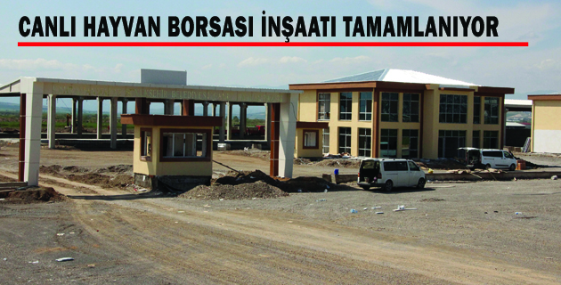 CANLI HAYVAN BORSASI İNŞAATI TAMAMLANIYOR