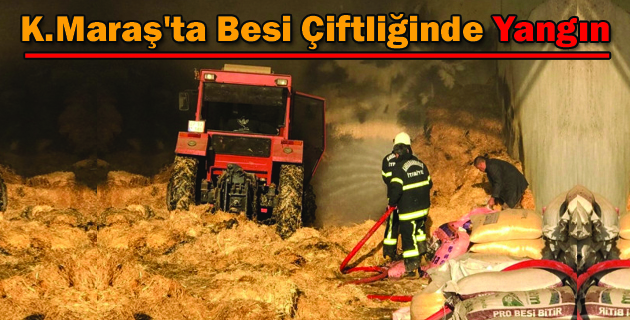 Kahramanmaraş’ta Besi Çiftliğinde Yangın