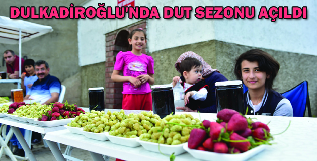 DULKADİROĞLU’NDA DUT SEZONU AÇILDI