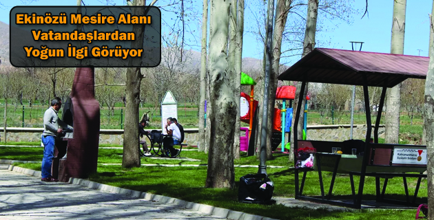 Ekinözü Mesire Alanı Vatandaşlardan Yoğun İlgi Görüyor