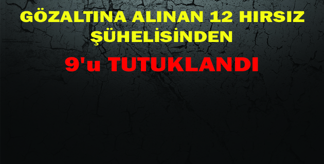 9 Hırsızlık Şüphelisi Tutuklandı