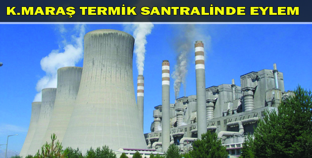 Termik Santralde Eylem