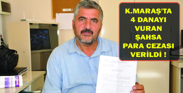 Kaçan 4 Danayı Vuran Şahsa, Para Cezası Kesildi