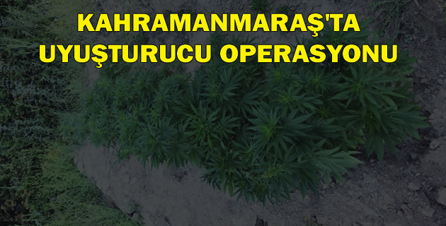 Kahramanmaraş’ta Uyuşturucu Operasyonu