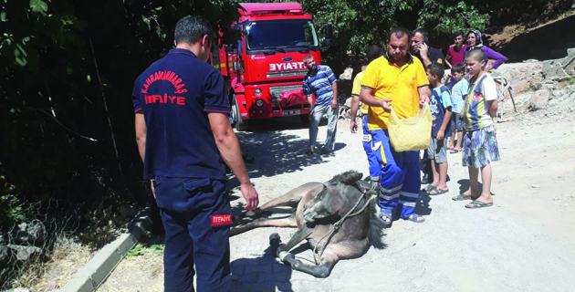 Ölüme terk edilen hayvanı büyükşehir itfaiyesi kurtardı