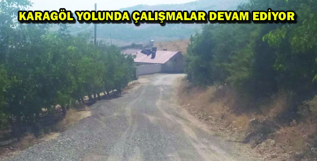 KARAGÖL YOLUNDA ÇALIŞMALAR DEVAM EDİYOR