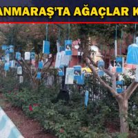 KAHRAMANMARAŞ’TA AĞAÇLAR KİTAP AÇTI