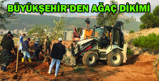 BÜYÜKŞEHİR’DEN AĞAÇ DİKİMİ