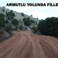 ARMUTLU YOLUNDA FİLLER ÇALIŞMASI