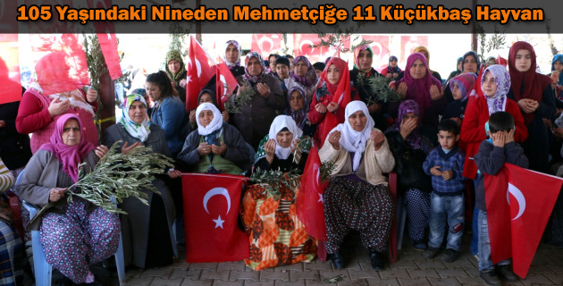 105 Yaşındaki Nineden Mehmetçiğe 11 Küçükbaş Hayvan