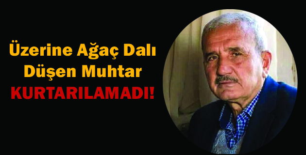 Üzerine Ağaç Dalı Düşen Muhtar Kurtarılamadı