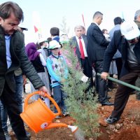 FİDANLAR FİDANLARLA BÜYÜYECEK