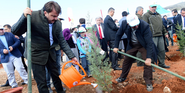 FİDANLAR FİDANLARLA BÜYÜYECEK