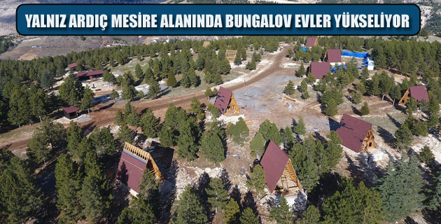 YALNIZ ARDIÇ MESİRE ALANINDA BUNGALOV EVLER YÜKSELİYOR