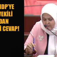 CHP VE HDP’YE MİLLETVEKİLİ ÖÇAL’DAN TOKAT GİBİ CEVAP