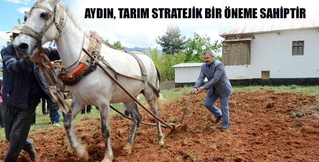 AYDIN, TARIM STRATEJİK BİR ÖNEME SAHİPTİR