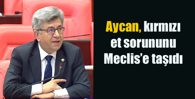 Aycan, kırmızı et sorununu Meclis’e taşıdı