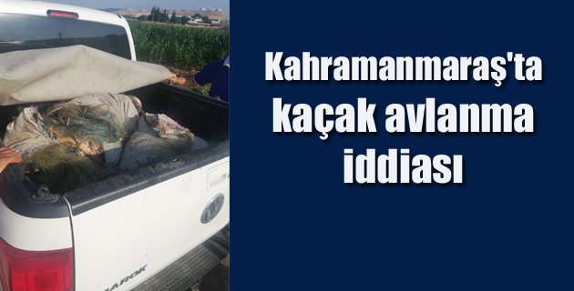 Kahramanmaraş’ta kaçak avlanma iddiası