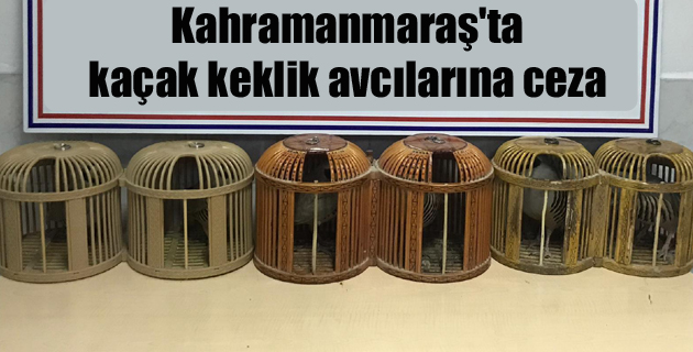Kahramanmaraş’ta kaçak keklik avcılarına ceza