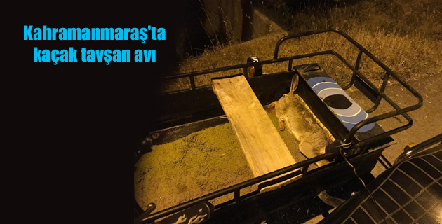 Kahramanmaraş’ta kaçak tavşan avı