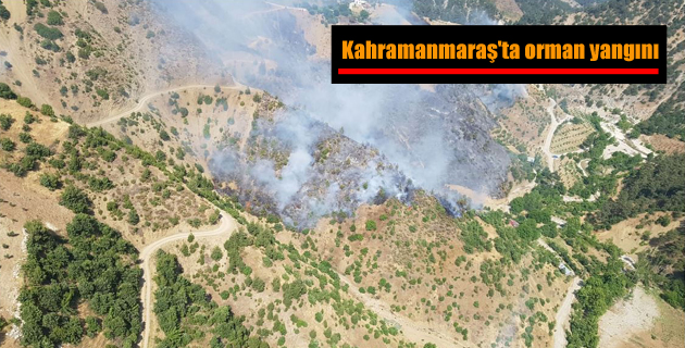 Kahramanmaraş’ta orman yangını