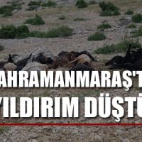 Yıldırım düştü, hayvanlar telef oldu