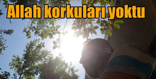 Allah korkuları yoktu