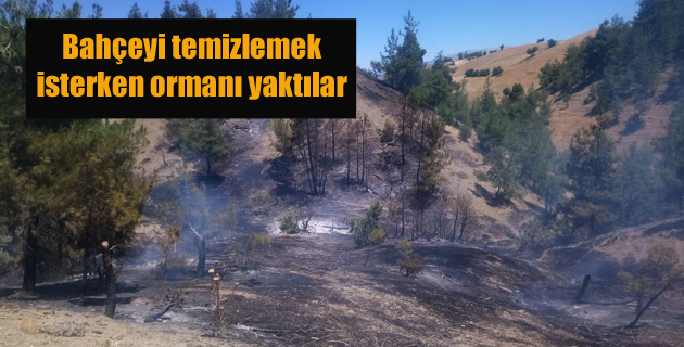 Bahçeyi temizlemek isterken ormanı yaktılar