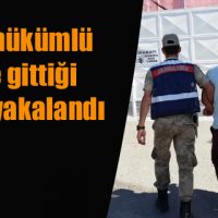 Firari hükümlü tatile gittiği ilçede yakalandı