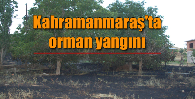 Kahramanmaraş’ta orman yangını