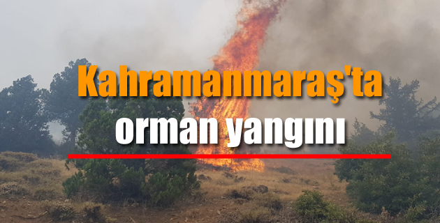 Kahramanmaraş’ta orman yangını