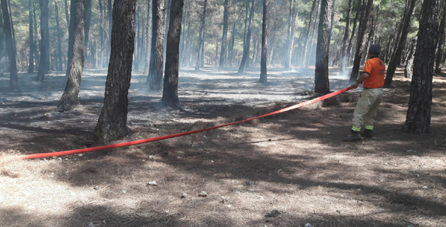 Kahramanmaraş’ta orman yangını