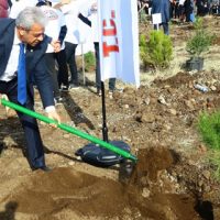 GELECEK NESİLLERE BIRAKILACAK EN BÜYÜK HAZİNE ORMANDIR
