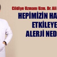 HEPİMİZİN HAYATINI ETKİLEYEN ALERJİ NEDİR