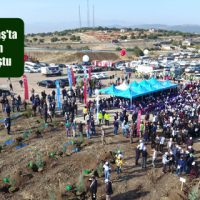 Kahramanmaraş’ta 222 bin fidan toprakla buluştu