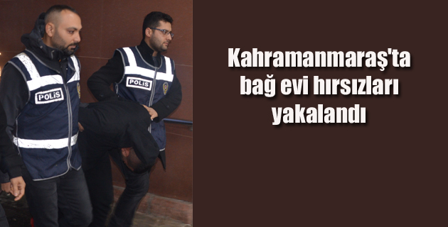 Kahramanmaraş’ta bağ evi hırsızları yakalandı
