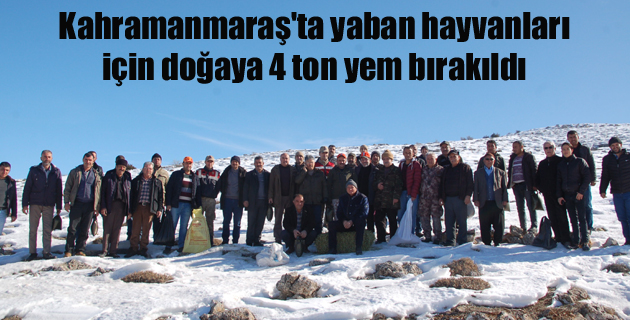 Kahramanmaraş’ta yaban hayvanları için doğaya 4 ton yem bırakıldı