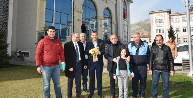Kahramanmaraş’ta yaralı bulunan şahin tedavi altına alındı