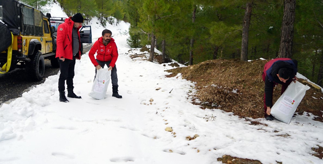 Doğaya Yem Bırakıldı