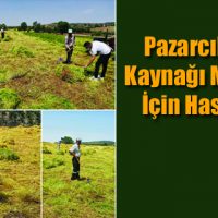 Pazarcıkta Şifa Kaynağı Mercimek İçin Hasat Vakti