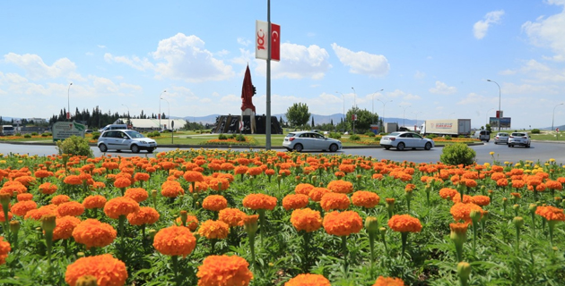 Büyükşehir’den mevsimlik çiçek dikimi