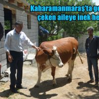 geçim sıkıntısı çeken aileye inek hediye edildi